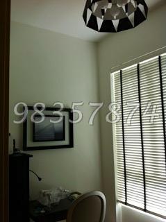 Amaryllis Ville (D11), Condominium #105276502